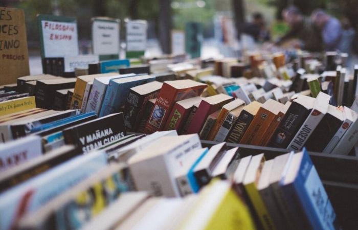 An exceptional sale of books between 50 cents and one euro organized in Verdun