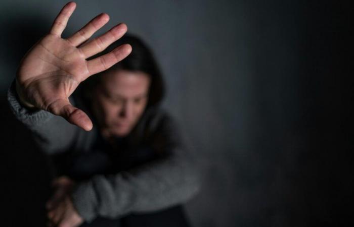 Domestic violence: Nord and Pas-de-Calais among the departments with the highest rates of victims