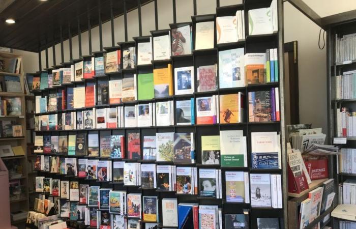 Month of literary meetings at the Temps Modernes bookstore in Orléans