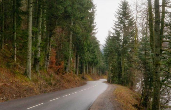 He wanted to punish his 6 year old son by leaving him alone at night in the woods, the child clings to the car and is dragged