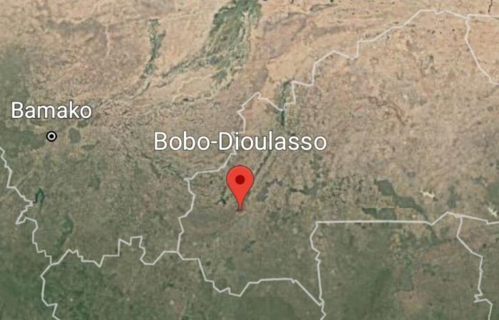 Burkina: seven hostages released | APAnews