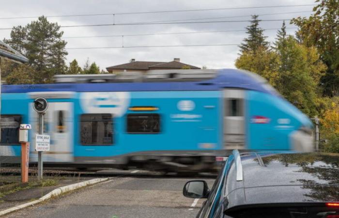 Hautes-Alpes. A 45-year-old driver hit by a train