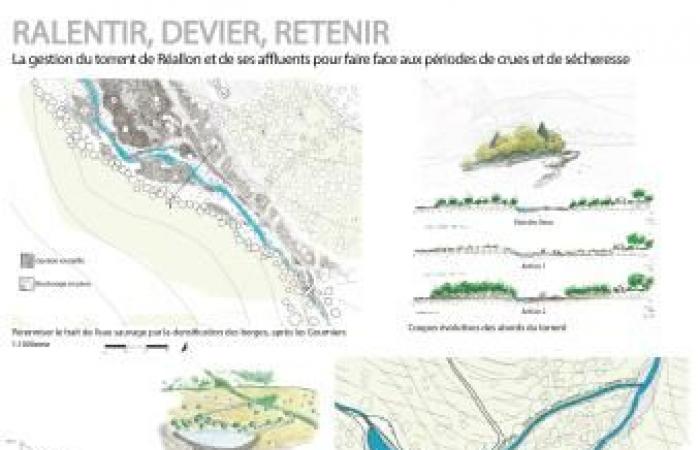 Avenues for the future of Réallon