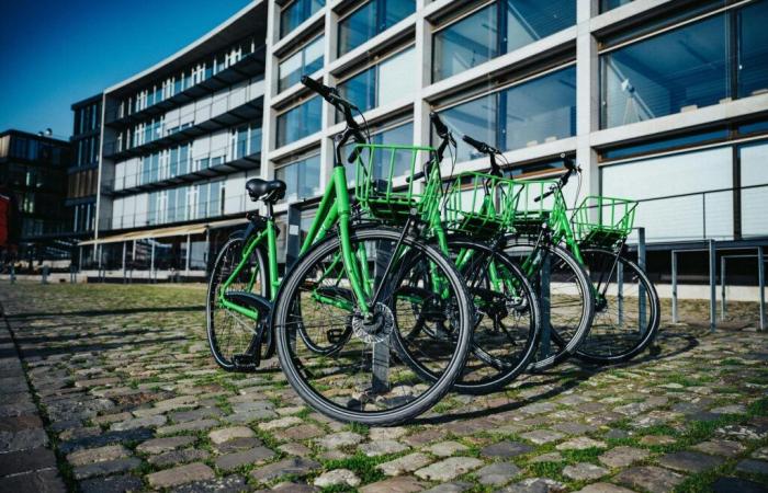 The Occitanie Region makes electric bikes available to high school students in Gard – News – Gard – Occitanie