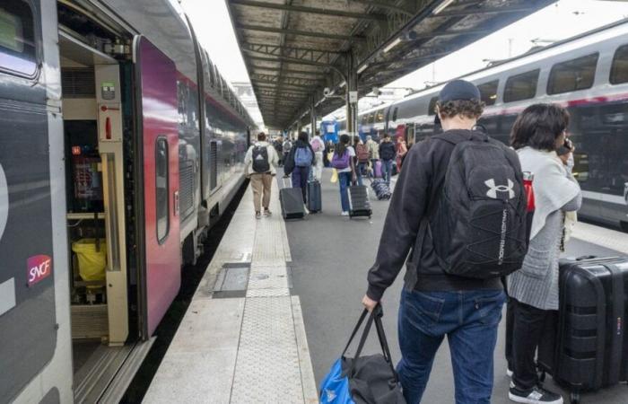 Travel time, unserved cities, renovation work… What awaits travelers on the Paris-Lyon TGV line for the weekend of November 11