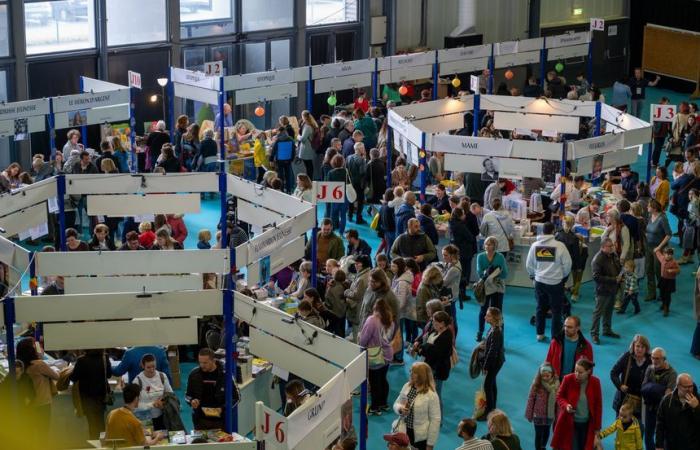 The Brive book fair on November 8, 9 and 10, 2024