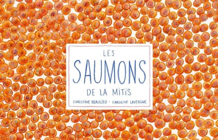 Children’s literature | Mitis salmon wins the TD Prize