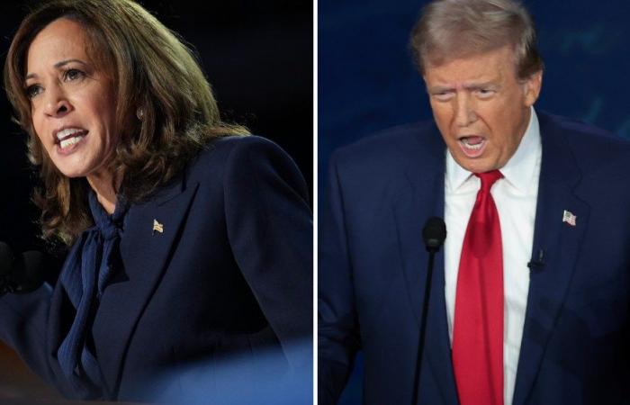 Google Search for Where Can I Vote for Harris Showed Map, Trump Didn’t