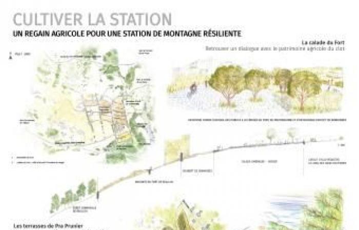 Avenues for the future of Réallon