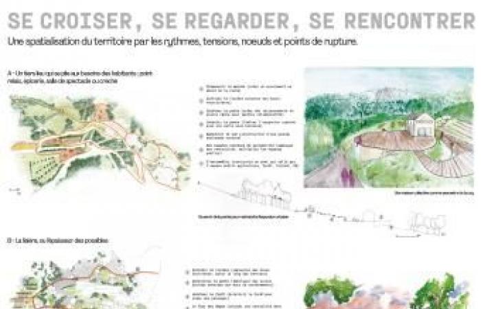 Avenues for the future of Réallon