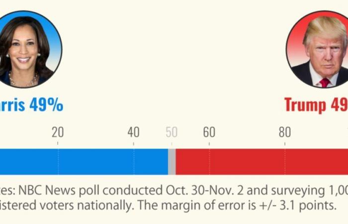 Harris-Trump race is neck and neck, with large gender gap