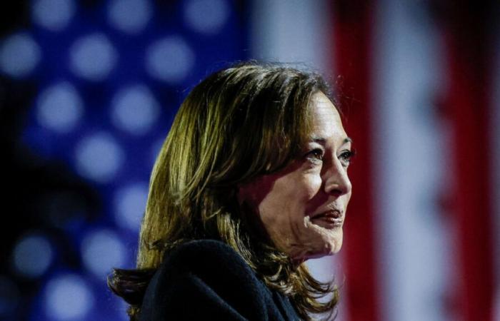 US presidential election: Vermont, Maryland, Connecticut… the states won by Kamala Harris