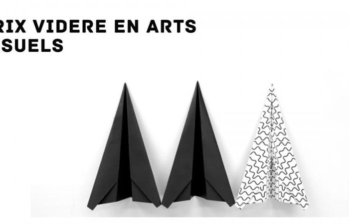 Manif d’art reveals the names of the finalists for the Videre Prizes in visual arts