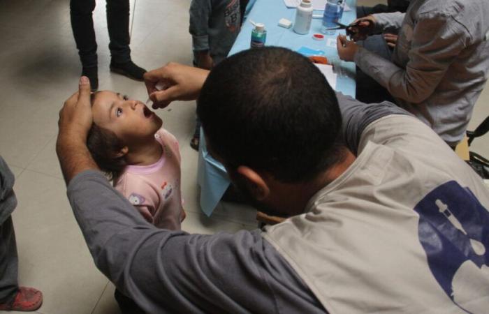 Gaza: polio vaccination campaign ends, more than 500,000 children vaccinated