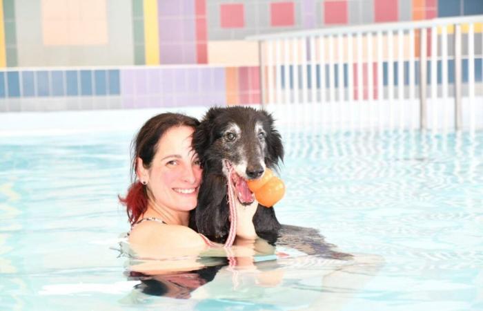 In the Eure, a Christmas swim with your dog