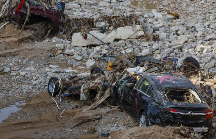 Deadly floods in Spain: only 111 identifications out of the 217 deaths recorded, emergency services urgently need the DNA of the victims' relatives