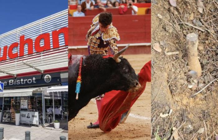 Bullfighting prohibited for under-16s, shells discovered in Gard, social plan at Auchan… the essential news in the region