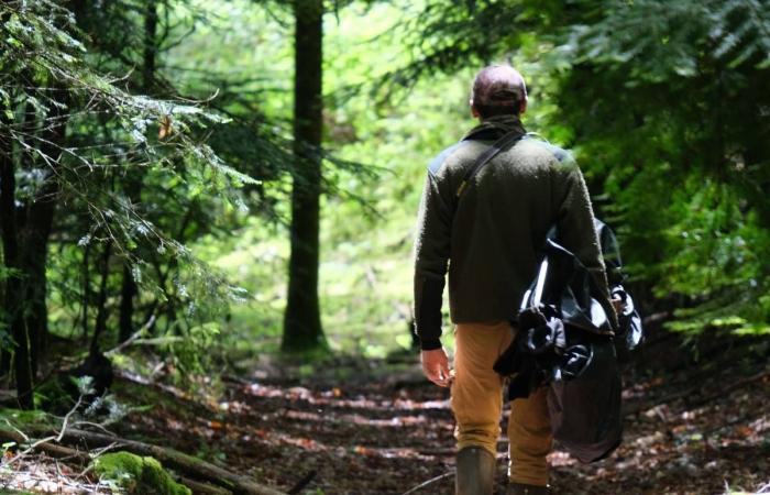 On the lookout with wildlife photographer Bastien Prévost in Haute Corrèze