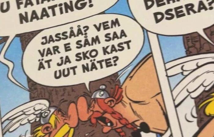 Asterix translated into the Grondspraatsi dialect