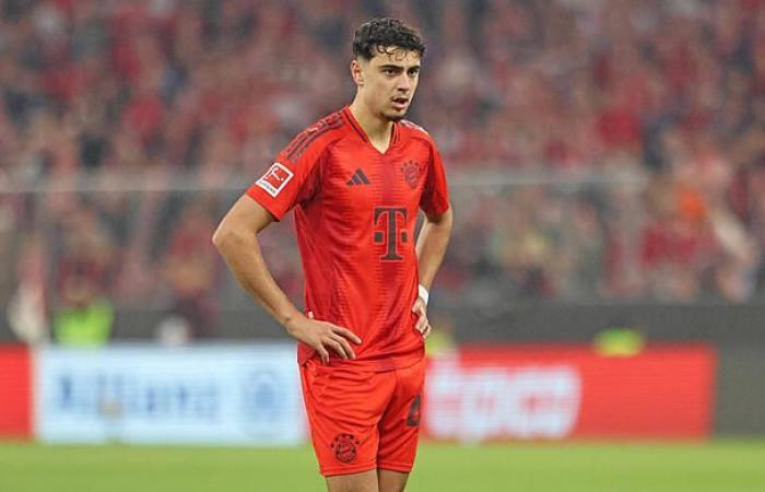 Palhinha: The man for the rough stuff in the engine room at FC Bayern