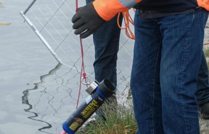 Pollution: laughing gas canisters found at the bottom of Lake Geneva