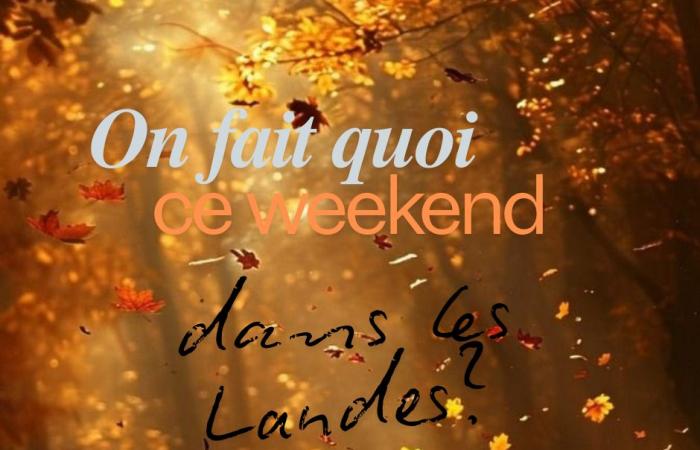 Ideas for outings – LANDES – Weekend of November 15