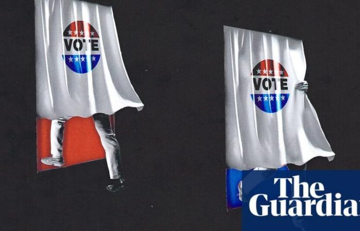 Voting on US election day ‘by and large normal’ despite some glitches, experts say | US elections 2024