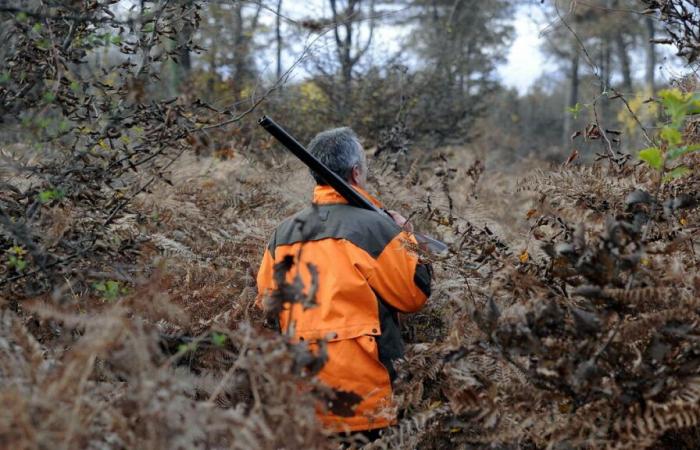 “I thought I had stepped on a mine”: a walker who was amputated after a hunting accident in the Var