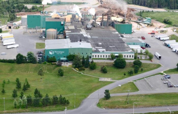 Cascades factory projects slowed down by lack of electricity