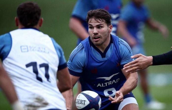 XV of France. Hazing, captaincy, 2024 Olympics… Everything you need to know about the return of Antoine Dupont