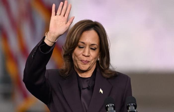 what future for the Democratic Party after the failure of Kamala Harris?