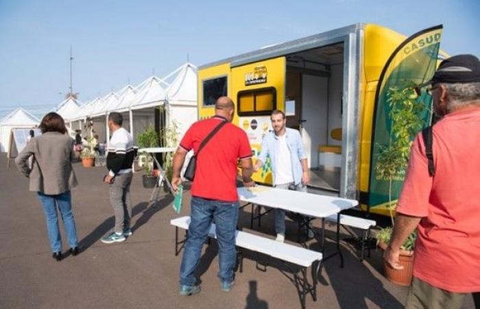 Bpifrance and the Réunion region organized the first “Co Crea Meeting” on entrepreneurship in the neighborhoods. On this occasion, Bpifrance and Initiative Réunion inaugurated the first overseas “Entrepreneurship Bus” – Bpifrance 2024