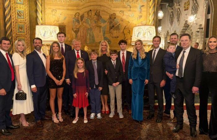 Elon Musk appears in Donald Trump's family photo