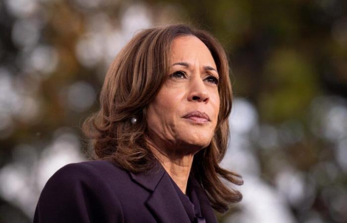 autopsy of the debacle of Kamala Harris and the Democrats