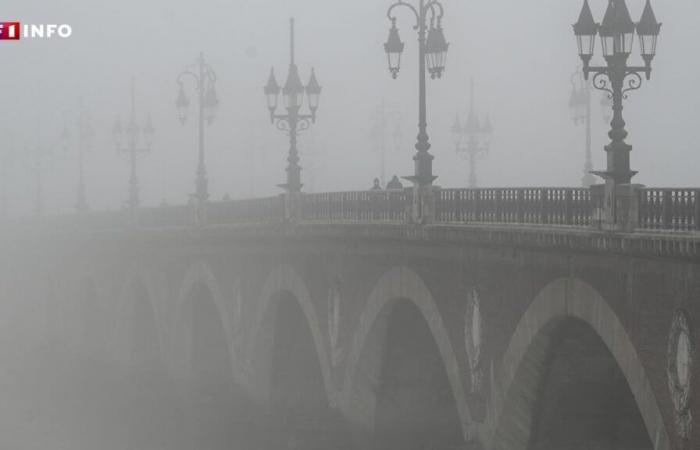 “In Mulhouse, we haven’t seen this since 1988”: why is there so much fog this fall in France?