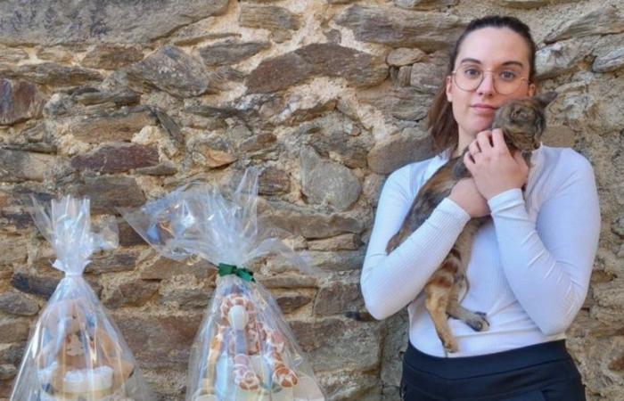 Laurie Albinet launches her micro-enterprise in Aveyron between original creations and pet care