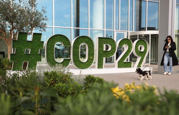 COP29 in Azerbaijan | Choosing the environment at the cost of freedoms?