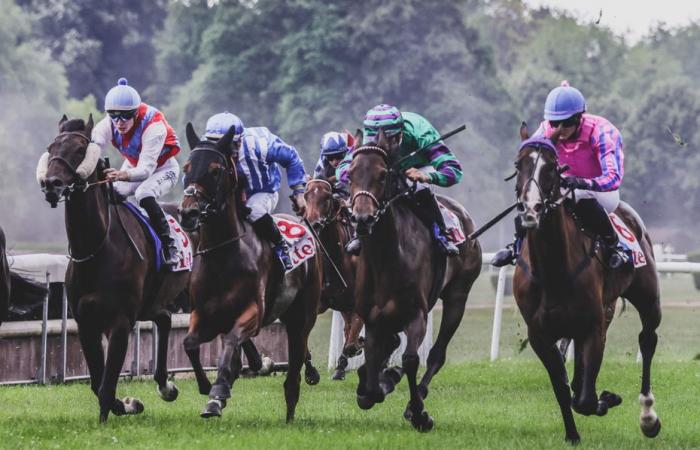 under pressure, the horse racing industry declares a “dead day”, reactions in Cagnes-sur-Mer