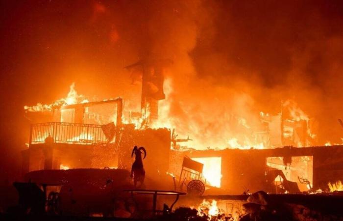 IN PICTURES. Houses ravaged, residents evacuated… In the United States, California engulfed in flames