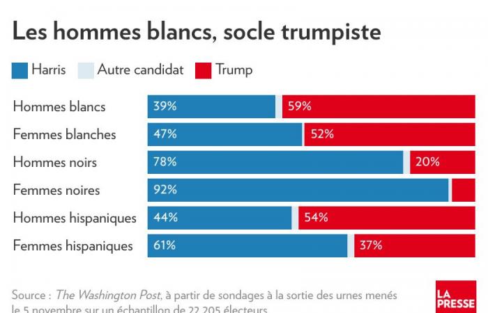 Who voted for Trump? | The Press