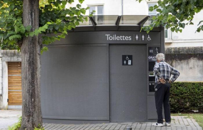 In La Courneuve, a referendum for or against public toilets in the city – Libération