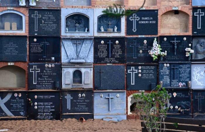 Floods in Valencia: time trial to bury the victims