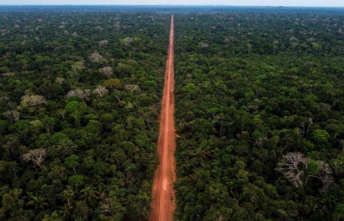 Rate of deforestation in the Brazilian Amazon at its lowest level in nine years