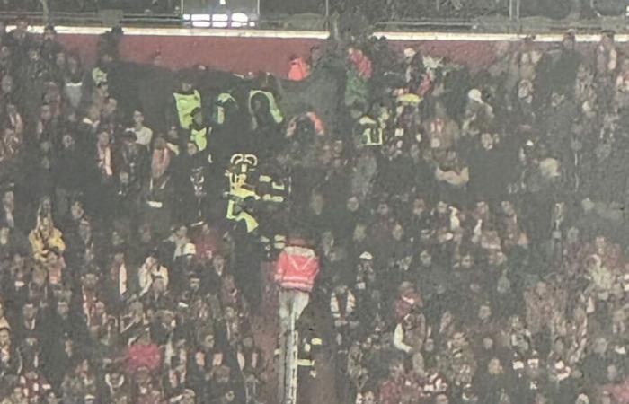 FC Bayern: Heart attack in the Allianz Arena! Fan dies in win against Benfica Lisbon | sport