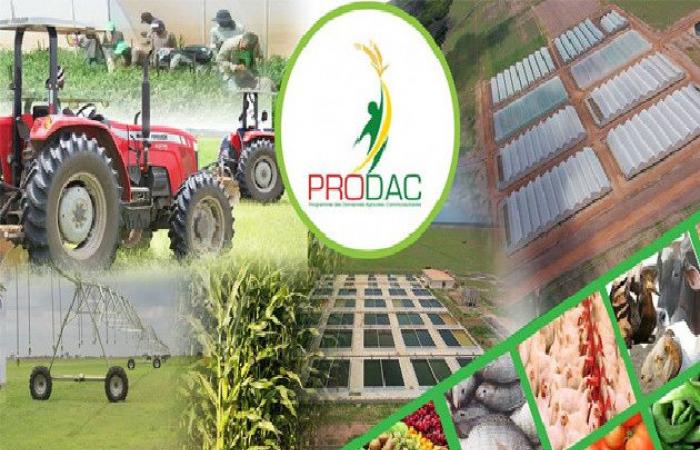 Prodac affair: The file, the arrests and the major revelations from the IGF report