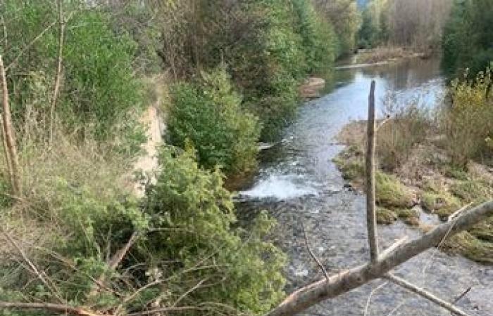 Terrible accident in Hérault: he smashes through the A75 barrier, falls onto the main road, rolls over and ends up in the river