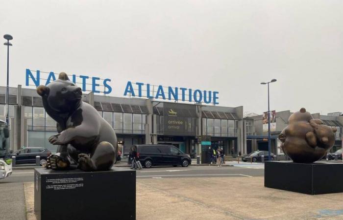 At Nantes airport, three giant bear cubs announce the exhibition by Michel Bassompierre, in Vertou