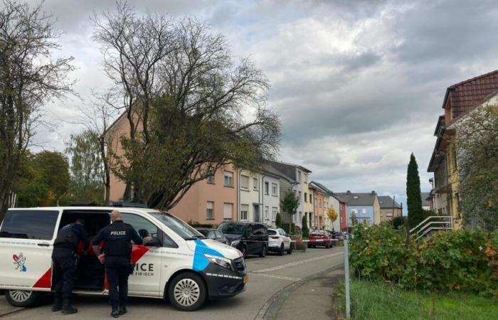 Niederkorn double murder: shooter sentenced to 18 years in prison