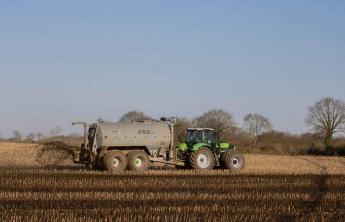 The prefect of Oise extends agricultural spraying until November 15