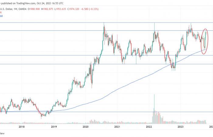 Gold corrects after Trump’s election: why 2024 is not 2016